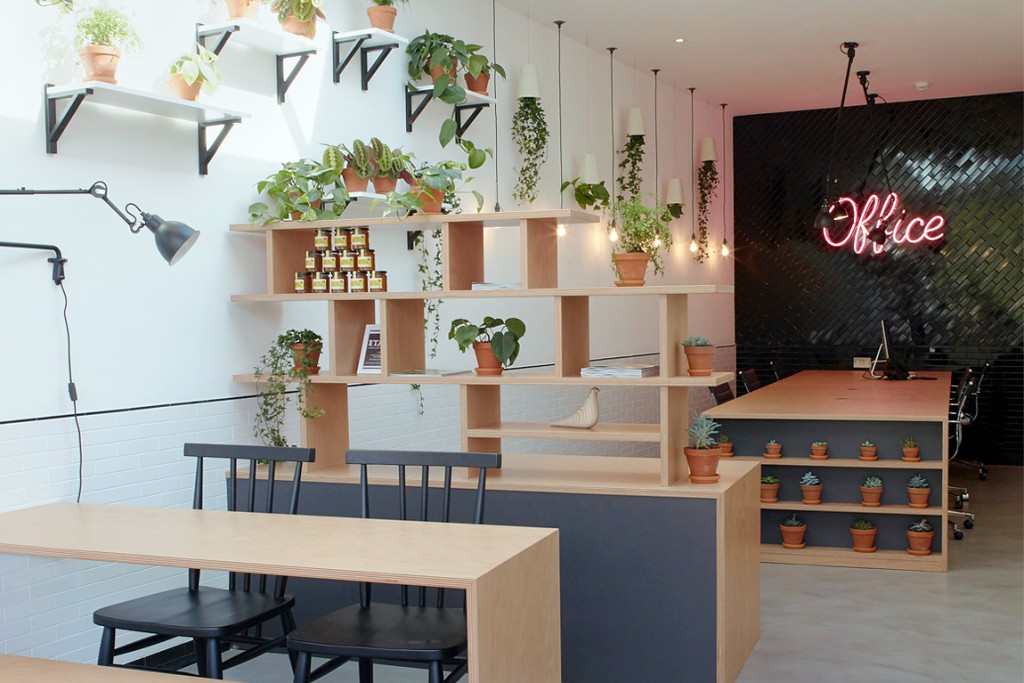 Stow Brothers Gavin Coyle